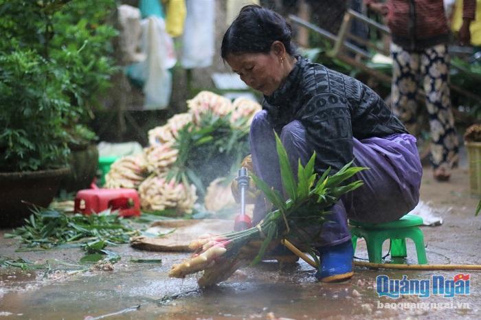 Nông dân phấn khởi thu hoạch vụ gừng Tết